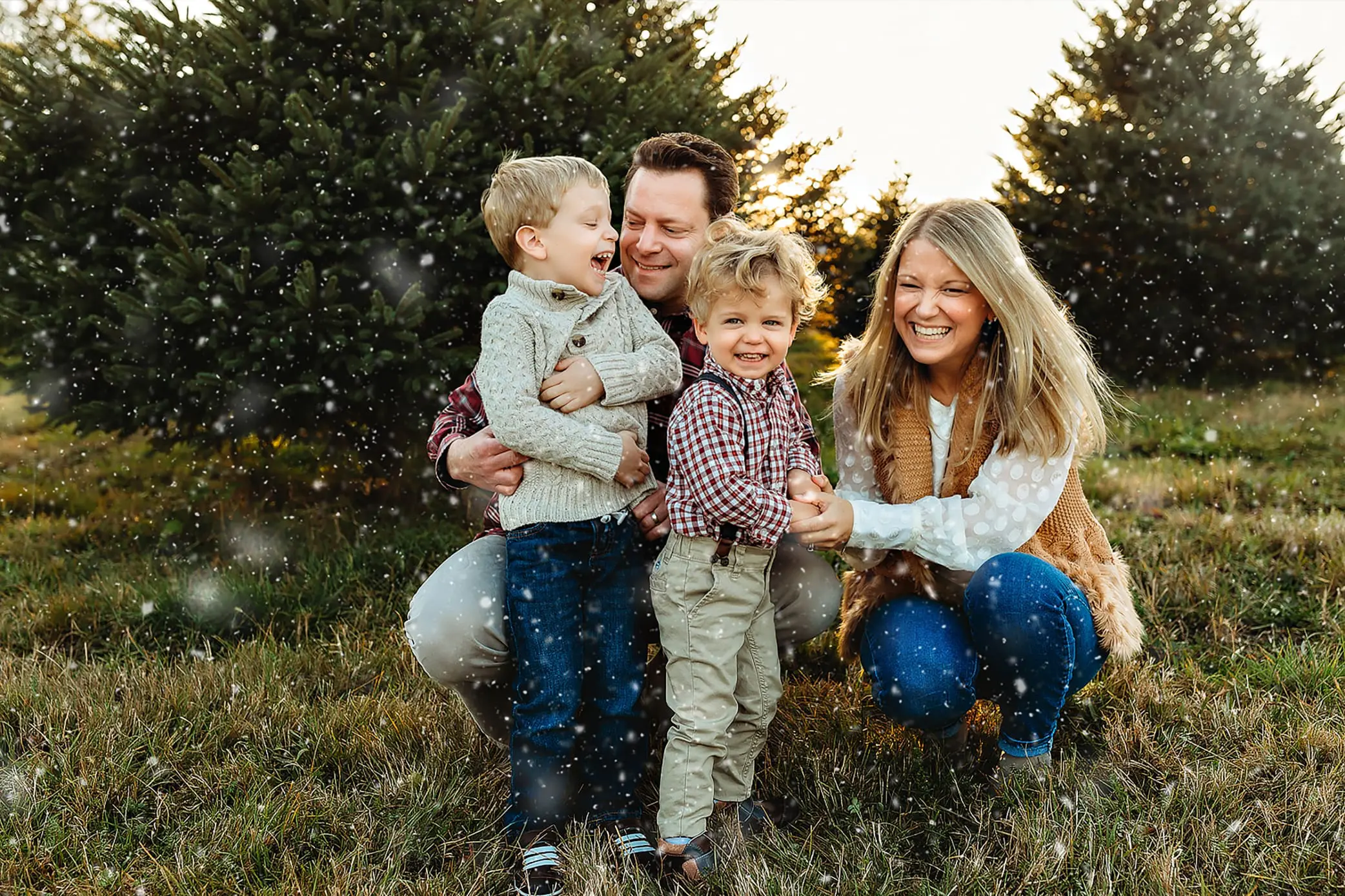 A family photographer captures a moment as a family of four laughs together in a field of evergreens with light snow falling. The parents crouch beside their children, who are wearing sweaters and suspenders, clearly enjoying the winter scene and each others company.