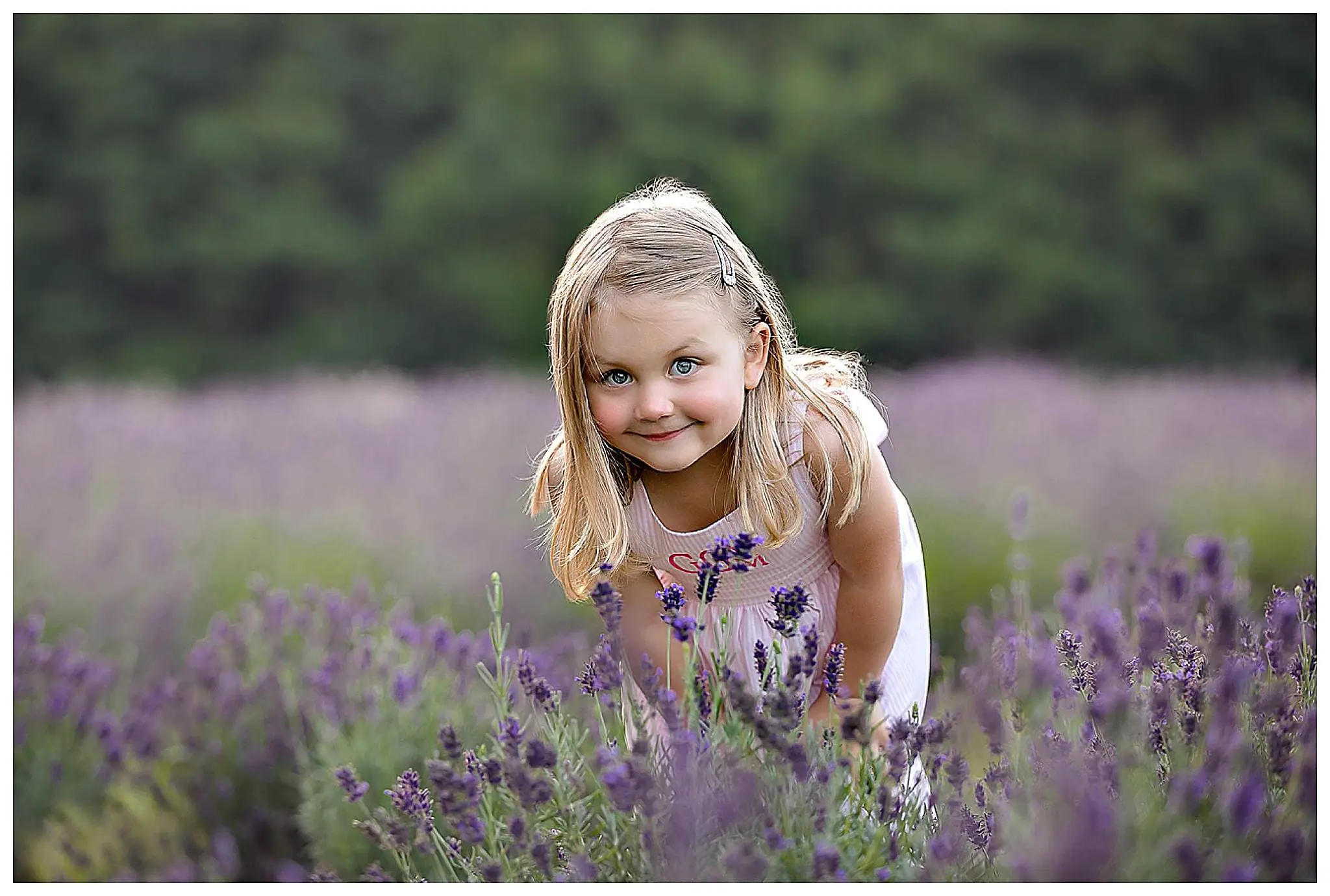 A young girl with blonde hair and a white dress smiles while bending over in a lush lavender field. She is surrounded by purple flowers, with a blurred green forest in the background on a lavender farm in Connecticut.