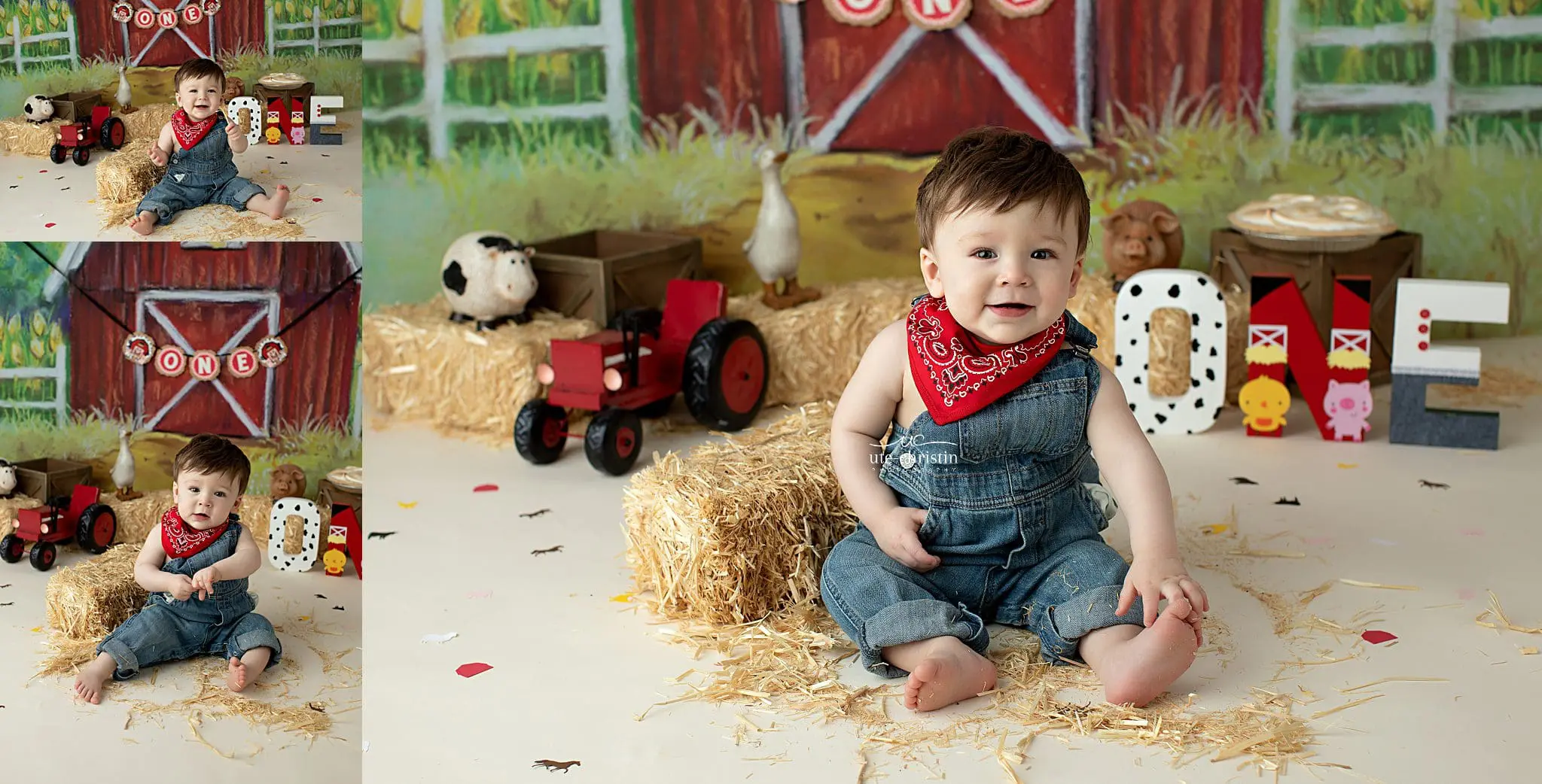 Connecticut Family Photography,Connecticut Maternity Photographer,Connecticut Newborn Photographer,