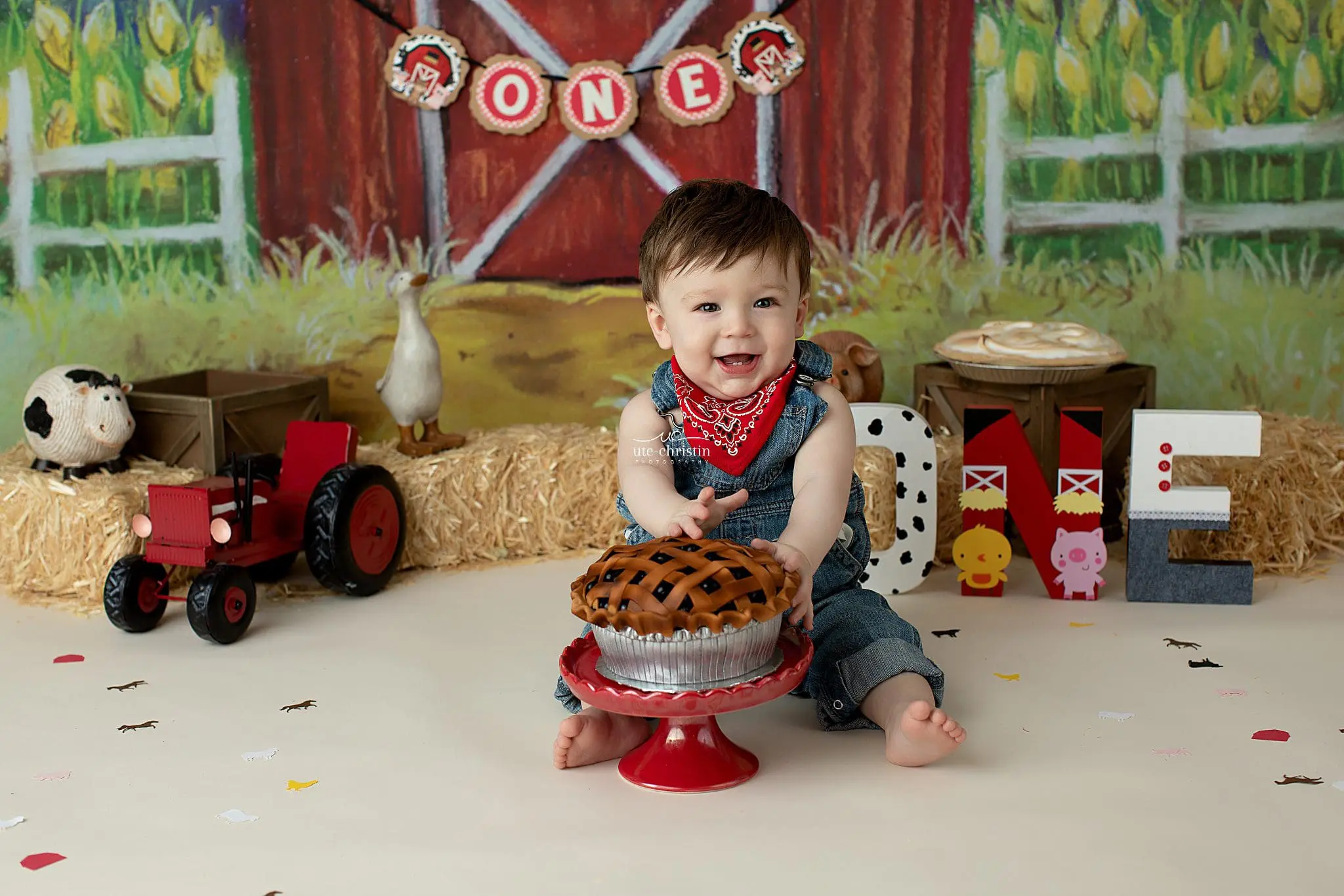 Connecticut Family Photography,Connecticut Maternity Photographer,Connecticut Newborn Photographer,