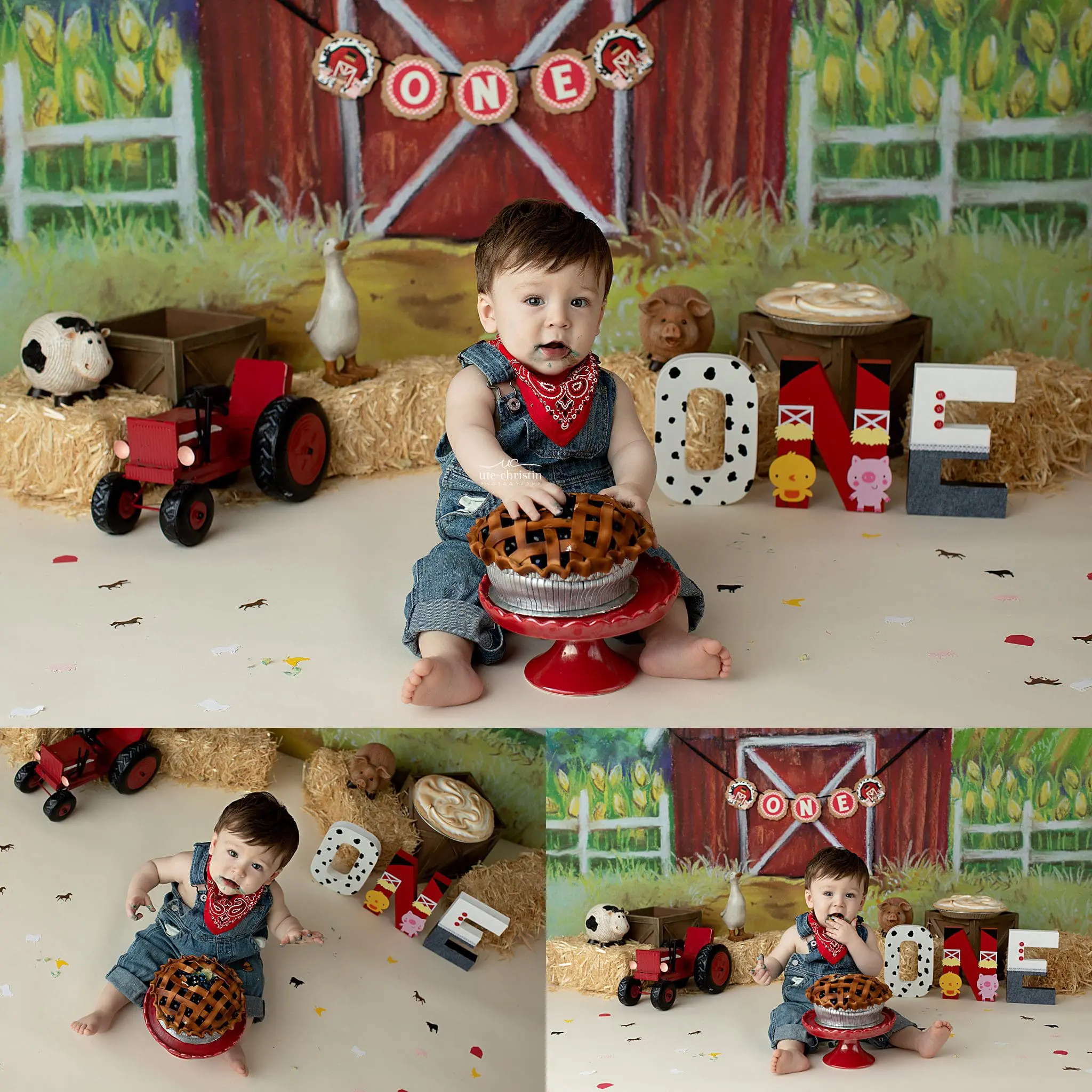 Connecticut Family Photography,Connecticut Maternity Photographer,Connecticut Newborn Photographer,