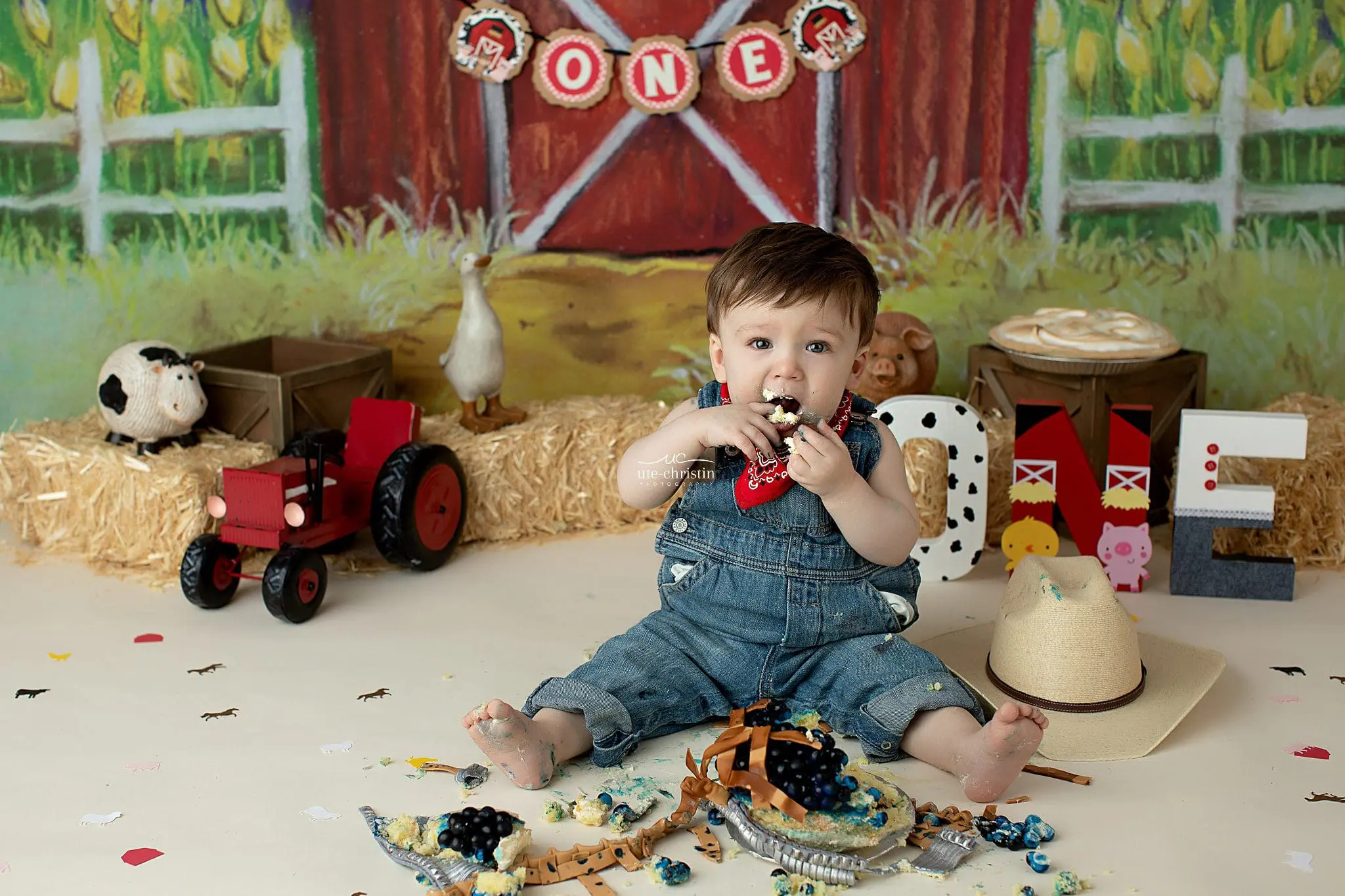 Connecticut Family Photography,Connecticut Maternity Photographer,Connecticut Newborn Photographer,