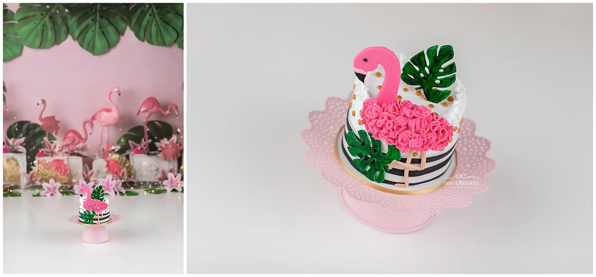 NewbornPhotosCT_0444.jpg NewbornPhotosCT_0444.jpg