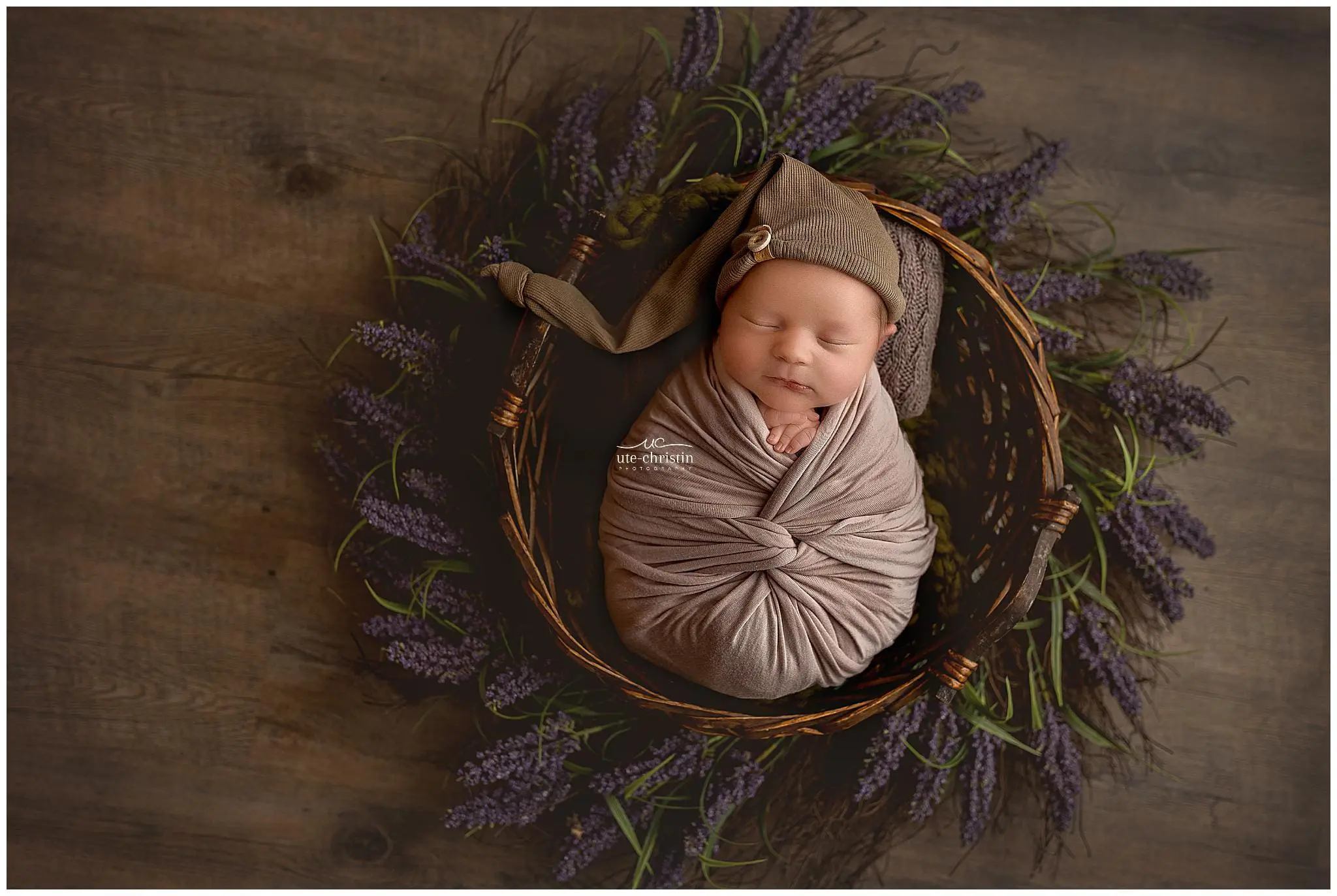 CTNewbornPhotos_0791.jpg