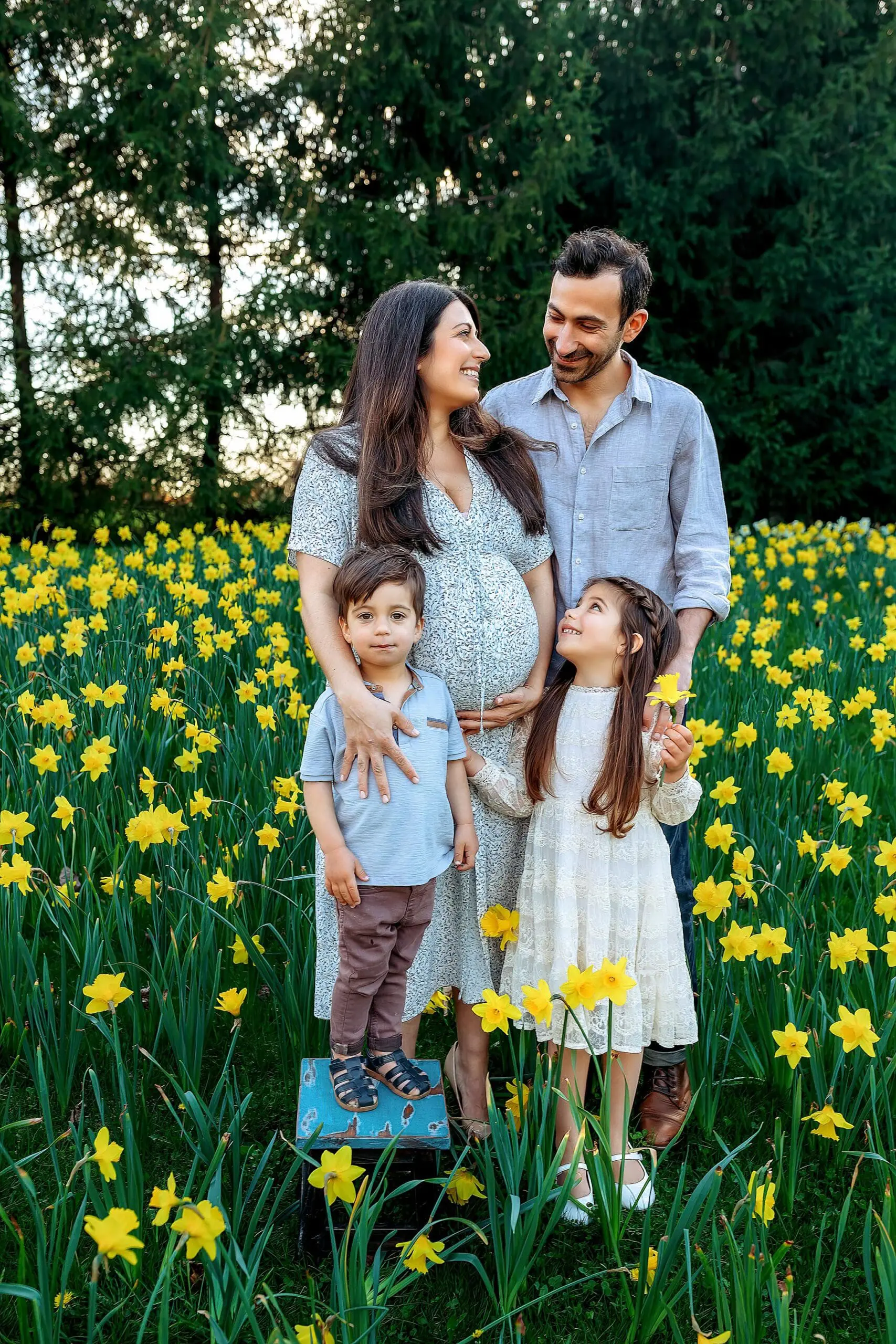A family of four standing in a field of yellow flowers and smiling at each other. The woman is pregnant, and the man stands beside her with a young boy on a stool and a young girl holding a flower in front of them. Trees are visible in the background for a Connecticut family session.