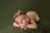 A newborn baby sleeps on a green lace blanket with arms folded under its head, wearing a floral headband with soft pink and green flowers—peaceful moments cherished by postpartum doulas in CT.