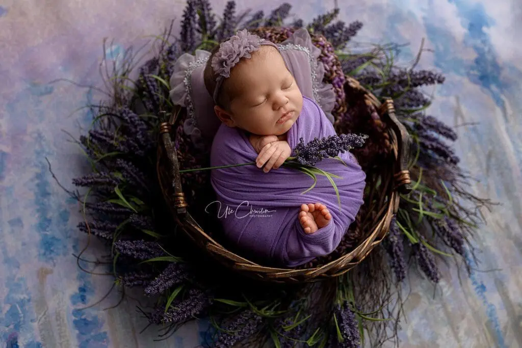 A newborn baby swaddled in purple cloth sleeps in a round basket, surrounded by lavender flowers—a peaceful scene that postpartum doulas in CT often help create for new families. The soft blue and purple background enhances this dreamy moment.