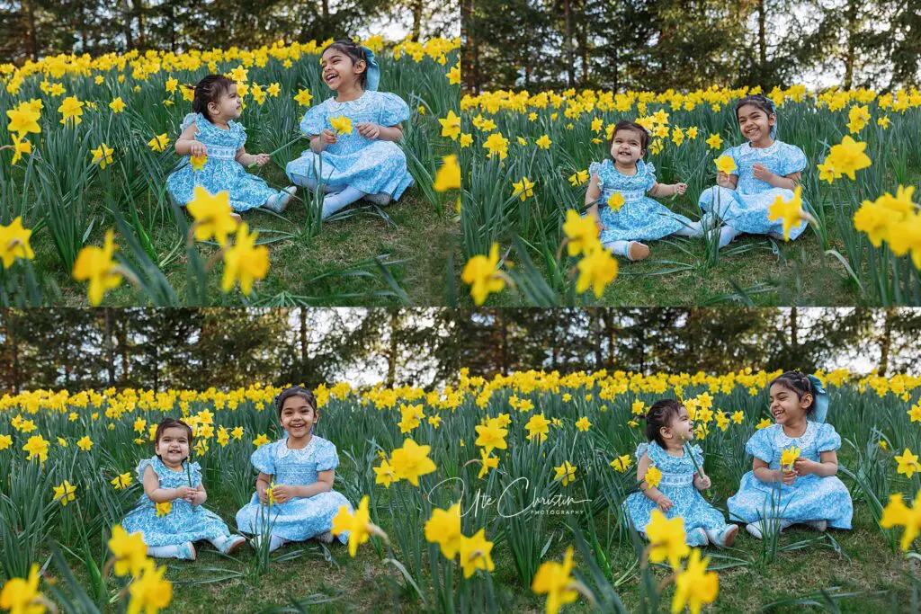 Two young girls in matching blue dresses sit in a field of yellow daffodils, smiling and laughing together. The photo collage captures their joyful interaction and the vibrant flowers surrounding them.