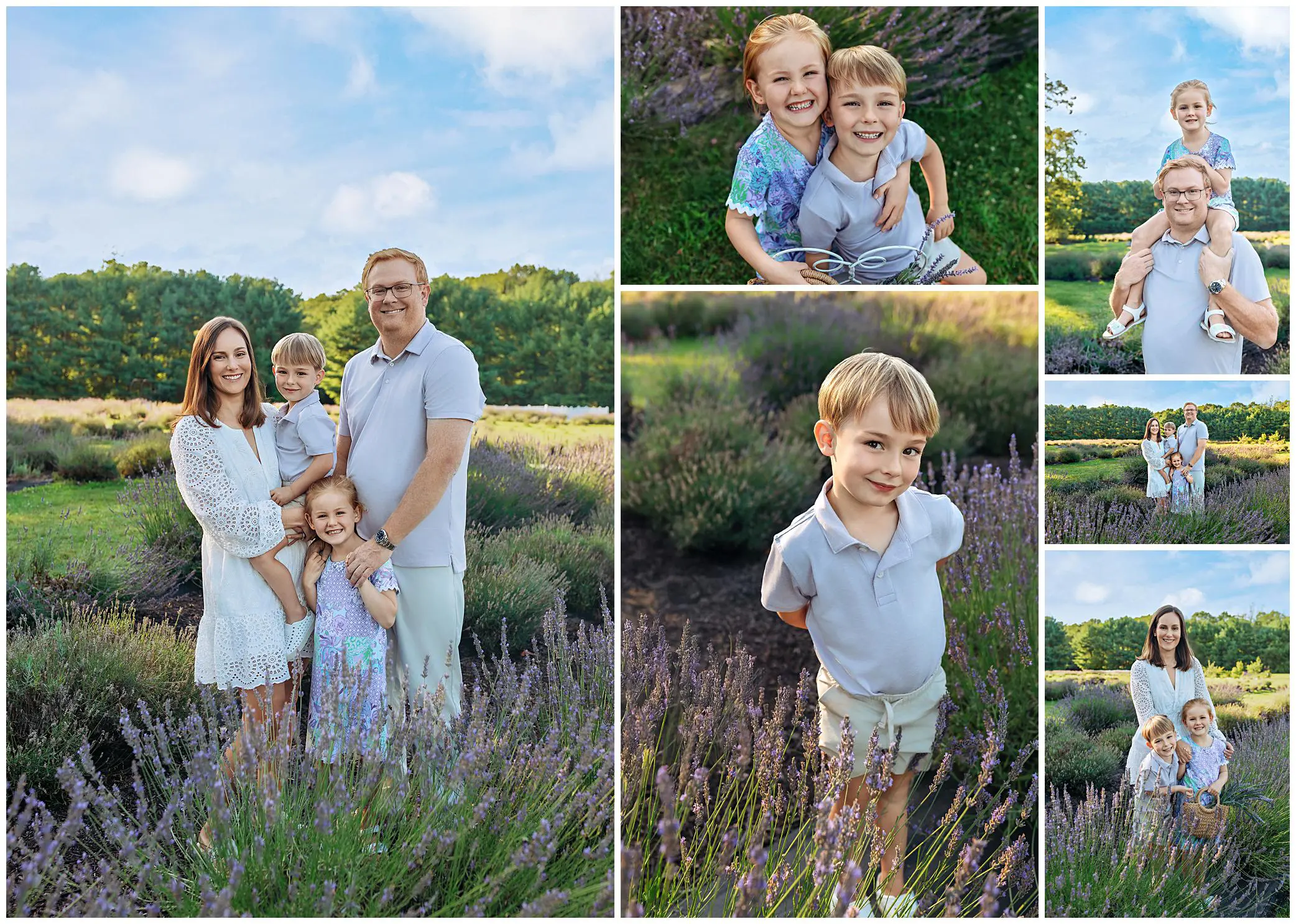 A collage of family photos in a lavender field, featuring a couple with a young boy and girl, smiling together and separately, with bright green trees and blue sky in the background.