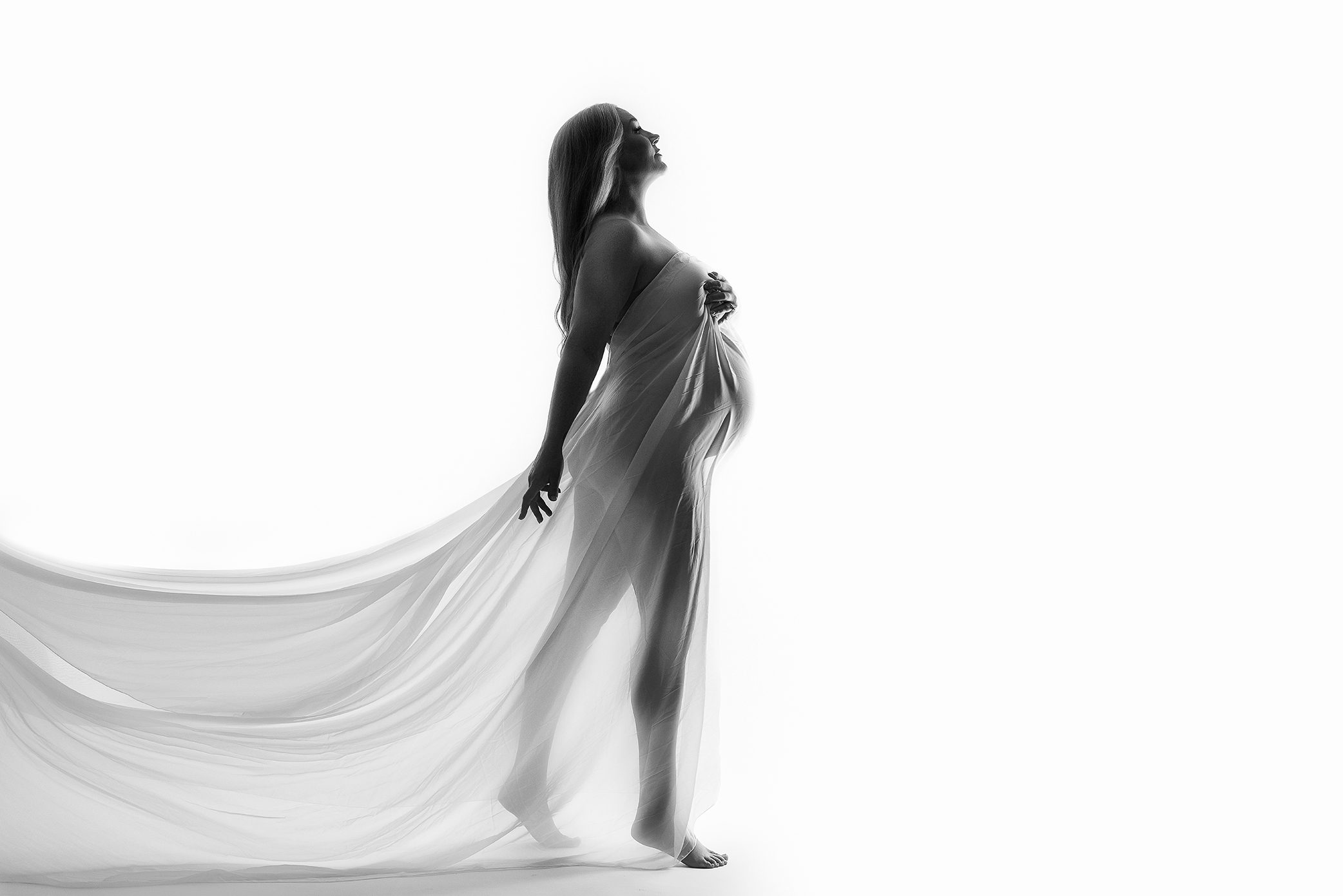 Silhouette of a pregnant woman standing in profile, draped in sheer fabric. She holds the fabric with one hand and supports her belly with the other, against a white background during her baby bump session in Milford CT.