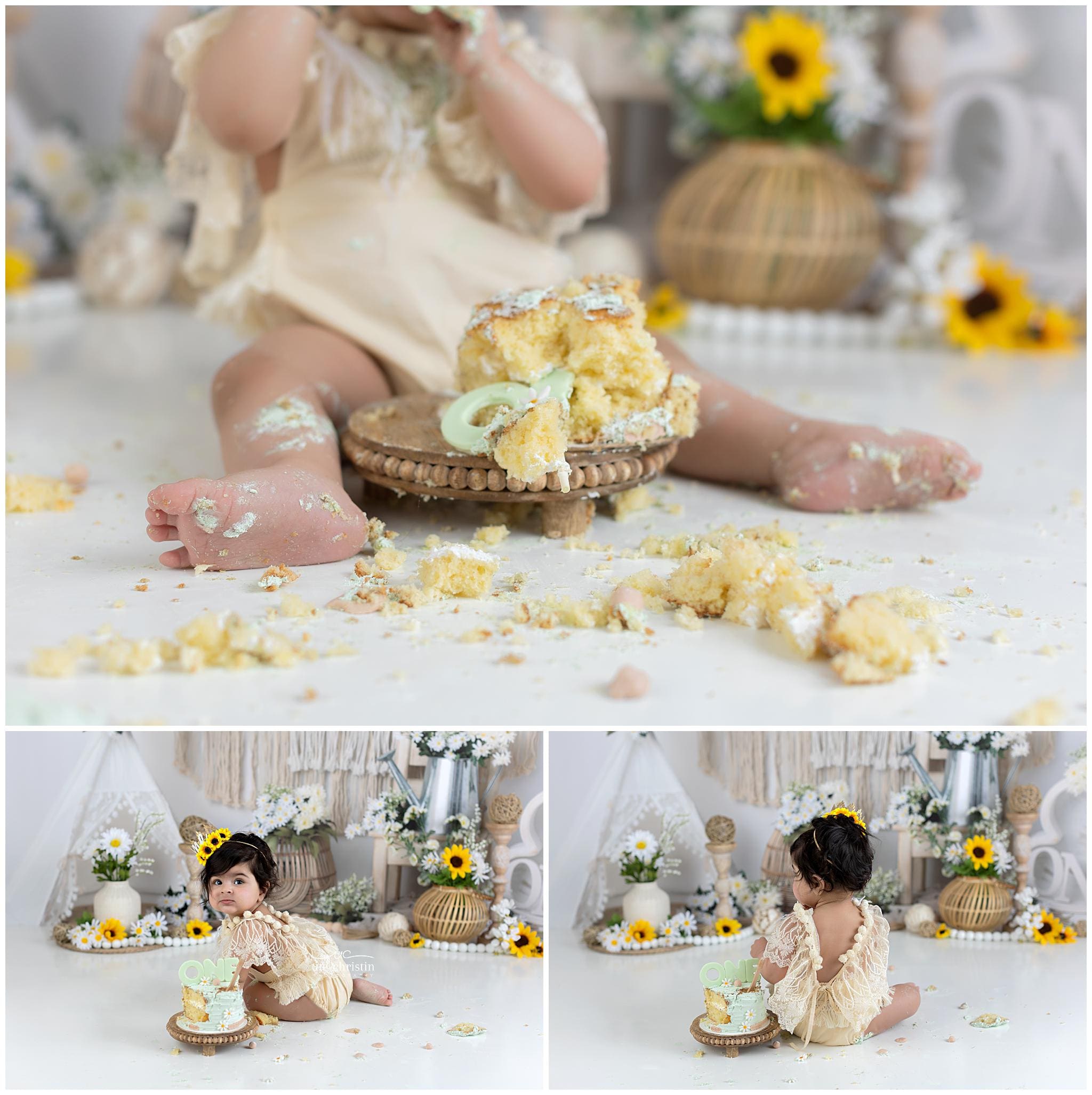 Daisy & Sunflower Cakesmash - Child Photography in Connecticut