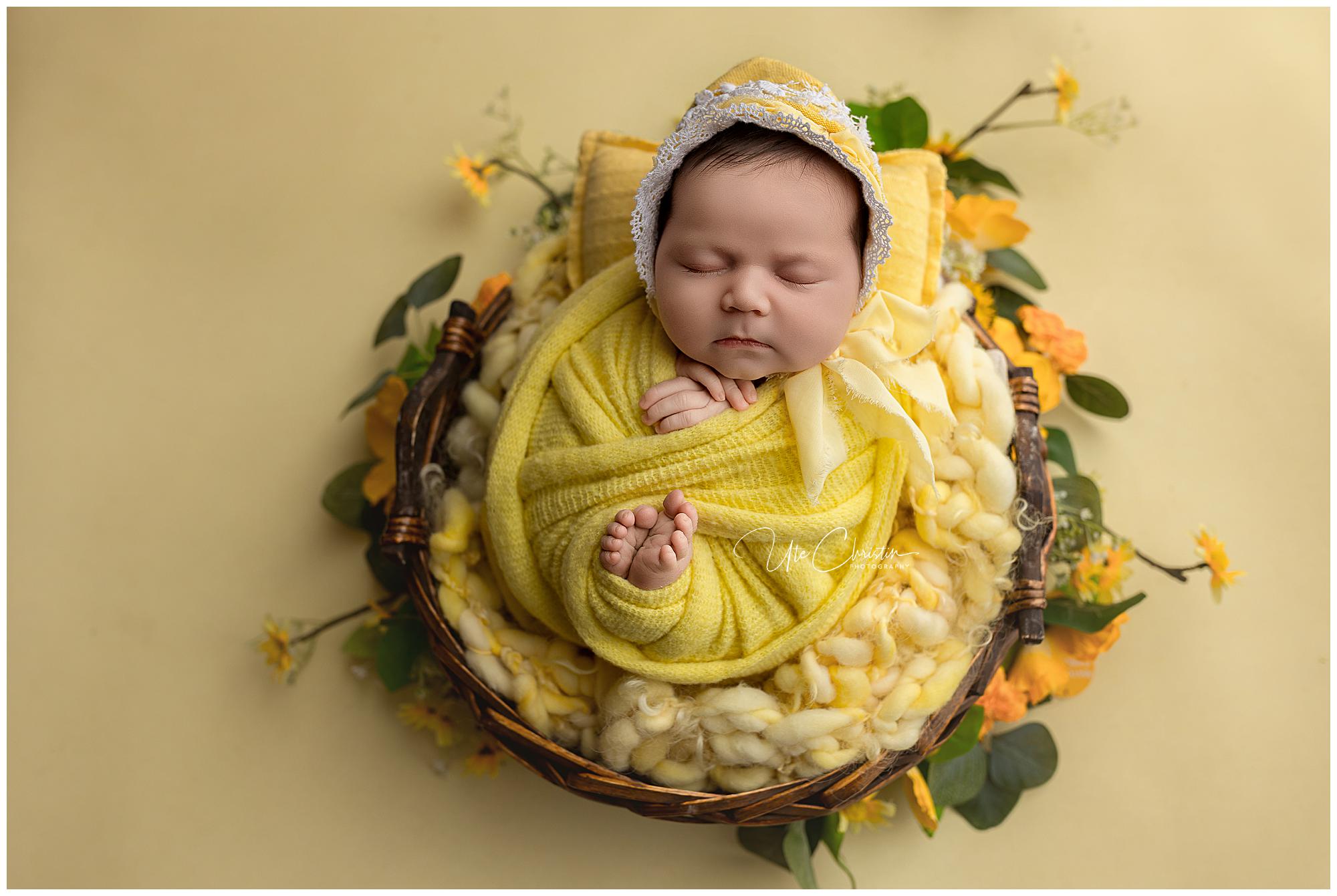 A newborn session in Milford features a baby wrapped in a yellow blanket and bonnet, sleeping peacefully in a wicker basket lined with soft yellow wool, surrounded by yellow flowers and green leaves on a matching yellow background.